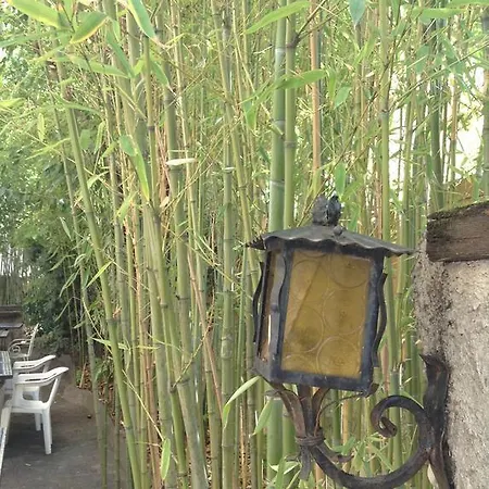 Acapulco Hotel Montpellier