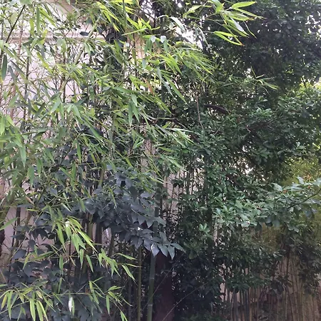 Acapulco Szálloda Montpellier