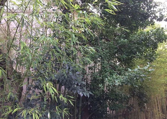 Acapulco Hotel Montpellier