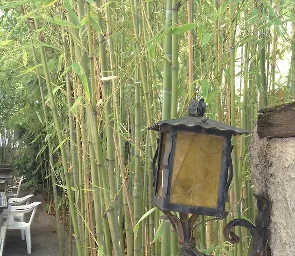 Acapulco Hotel Montpellier